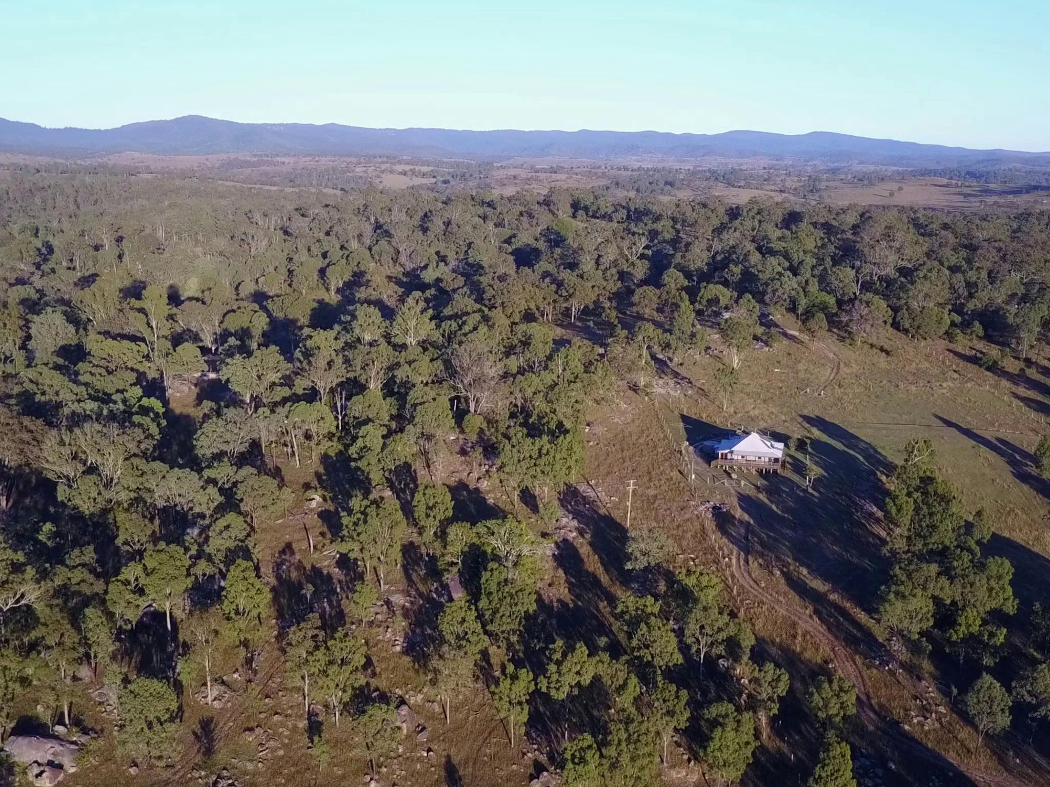 Bunya Mountains National Park backdrop Bunya Mountains National Park backdrop