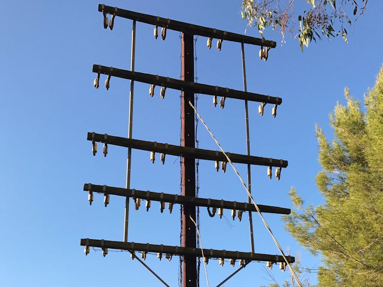 Aerial Trunk Memorial