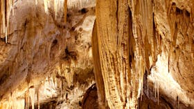 Hastings Caves and Thermal Springs