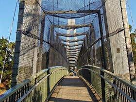 Mount Ku-ring-gai Track to Berowra Station