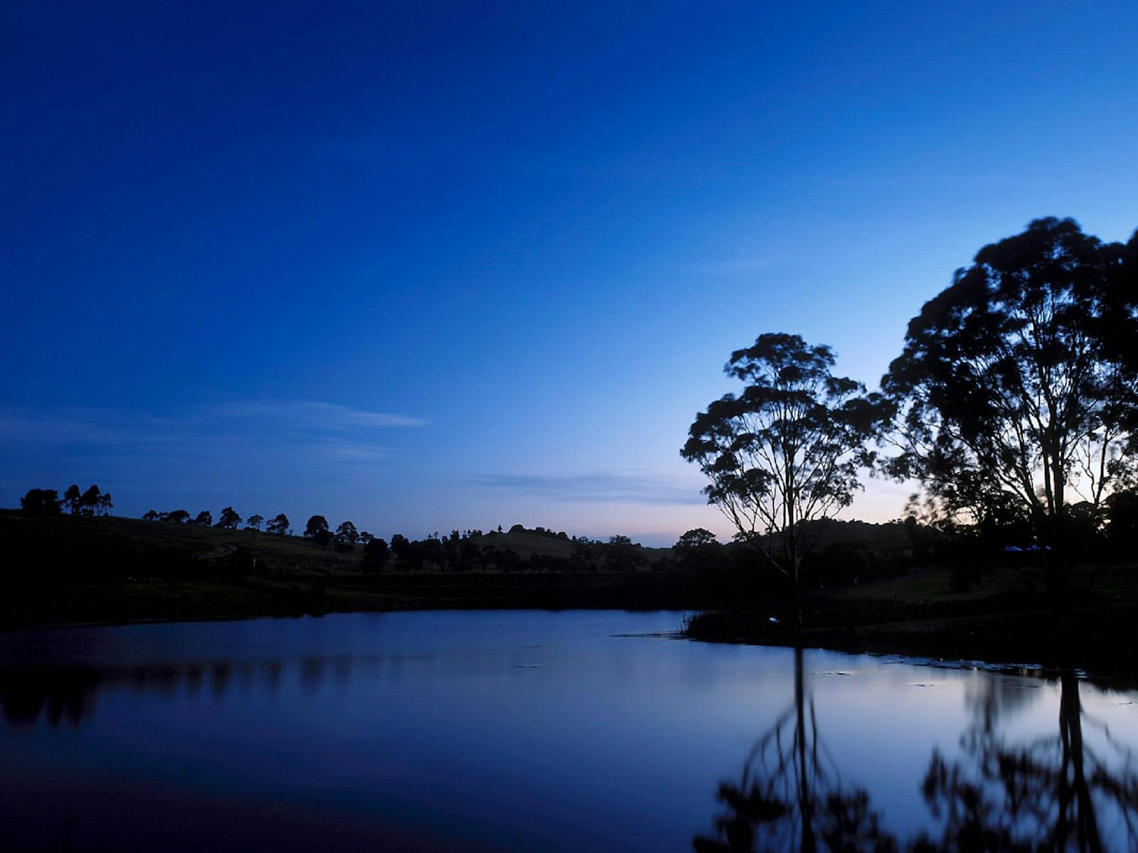 Image for Earth Hour - The Australian Botanic Gardens