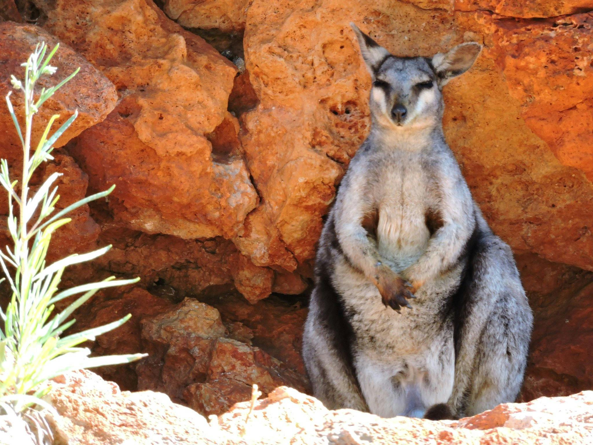 Yardie Creek Boat Tours, Cape Range National Park, Western Australia