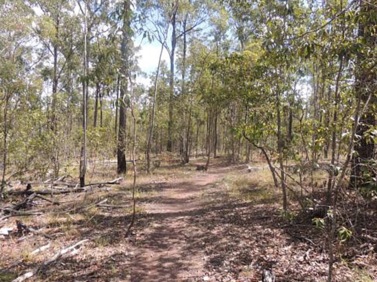 Promisedland Road Mountain Biking Trails edit Promisedland Road Mountain Biking Trails edit