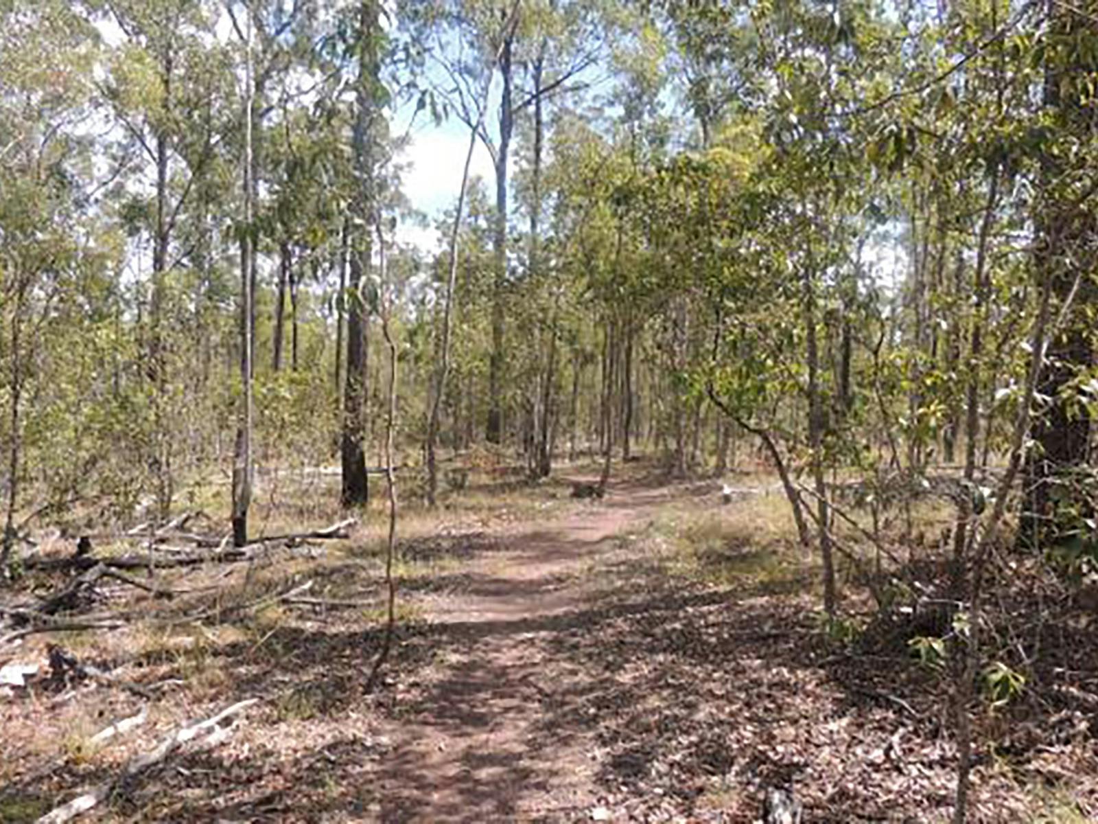 Promisedland Road Mountain Biking Trails edit Promisedland Road Mountain Biking Trails edit