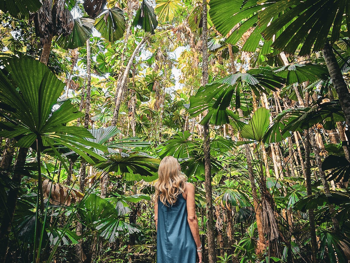 Fan Palm Farm