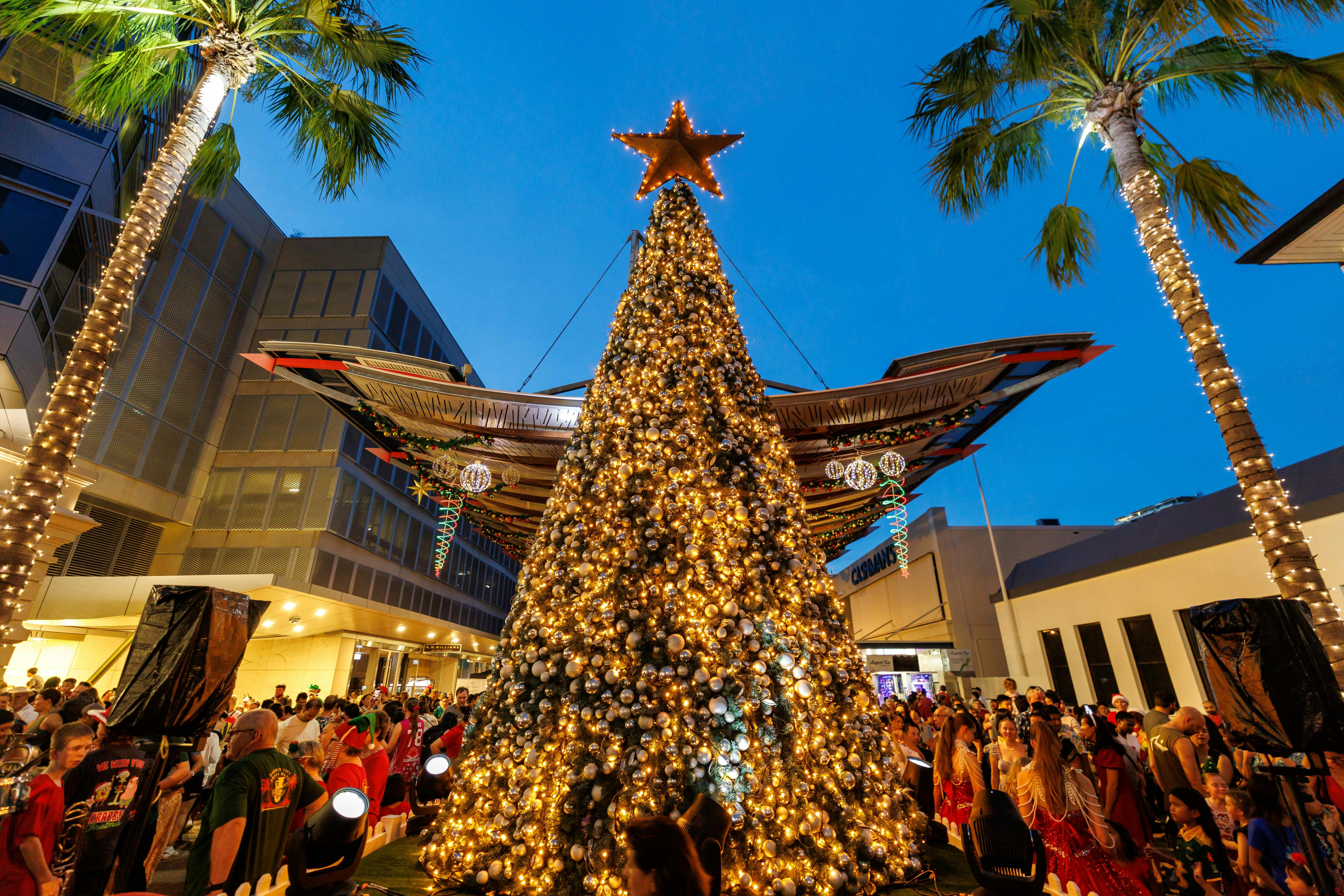 Lighting of the Christmas tree