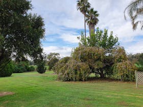 Large open lawn area with mature trees