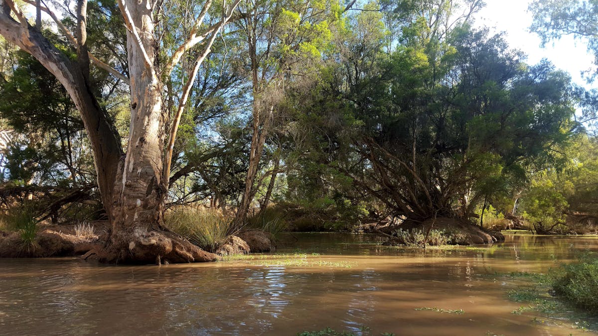 This is a photo of the Bulloo River