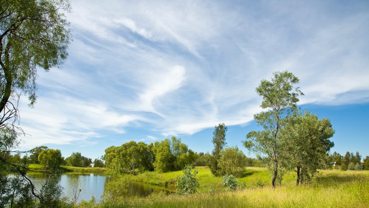 A large dam surrounded by grass and trees.