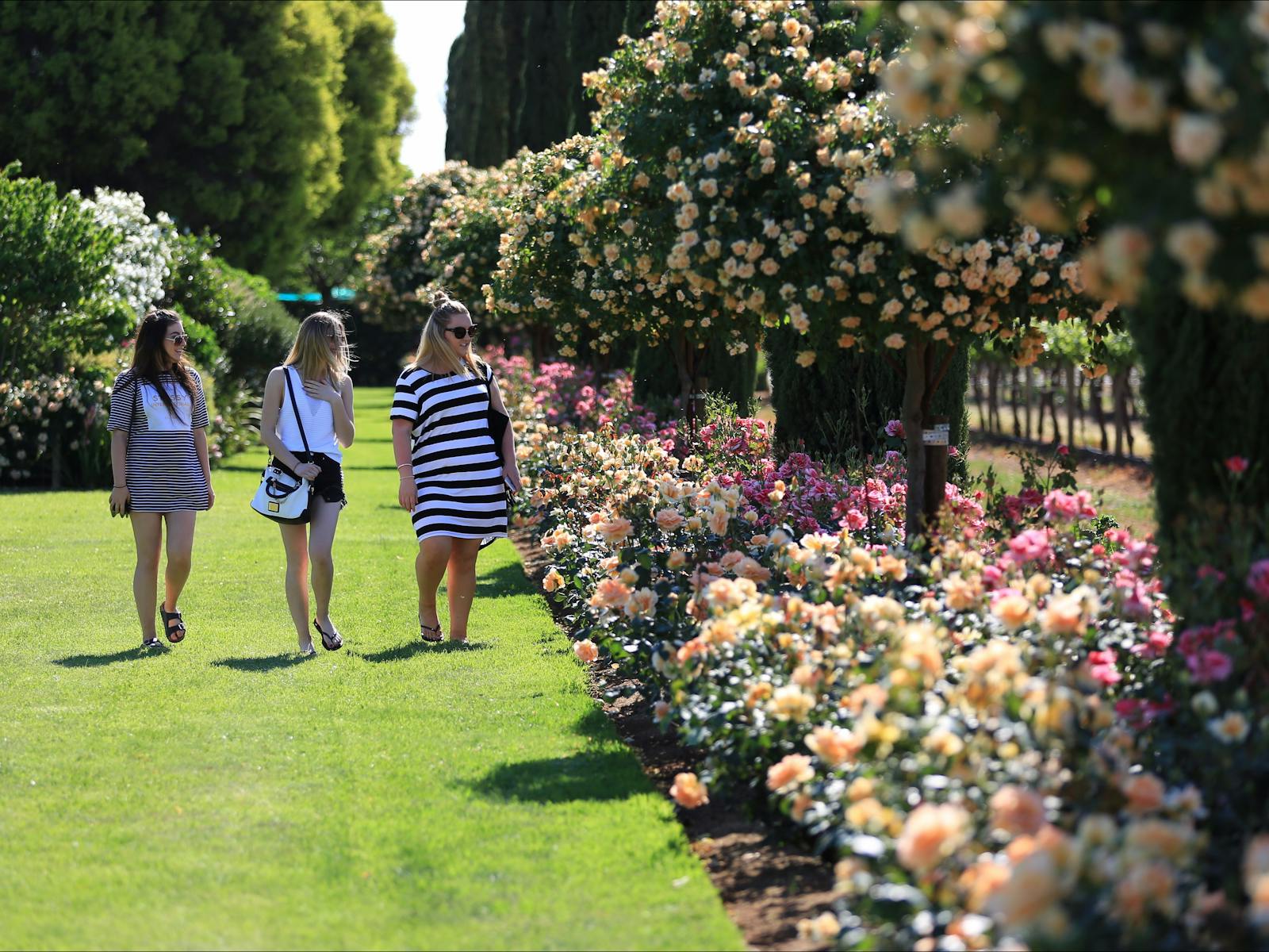 Image for Griffith Spring Fest - Garden Festival