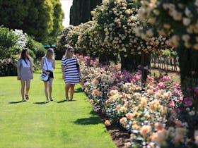 Griffith Spring Fest - Garden Festival Cover Image