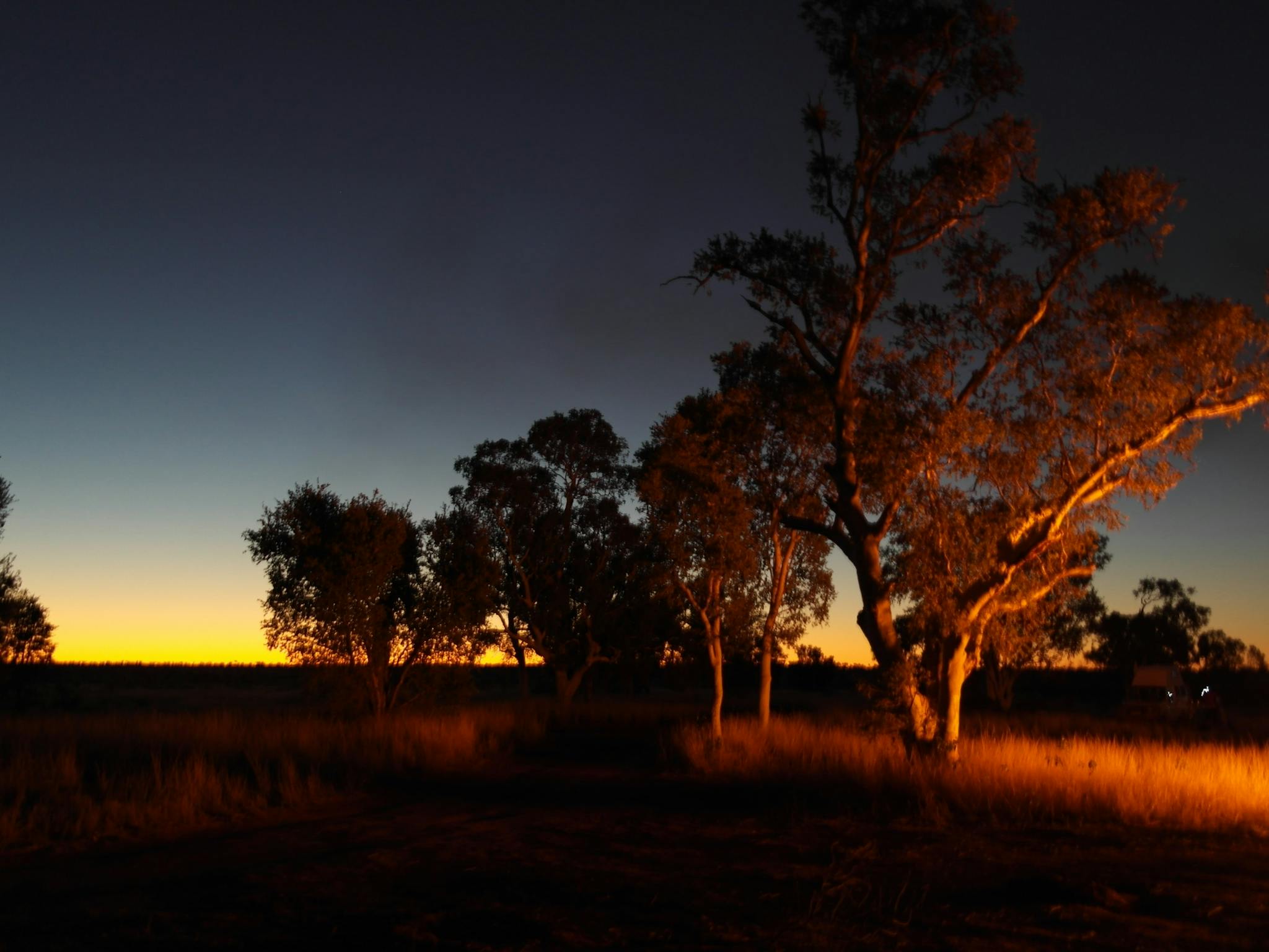 Otto Tours, Gosnells, Western Australia