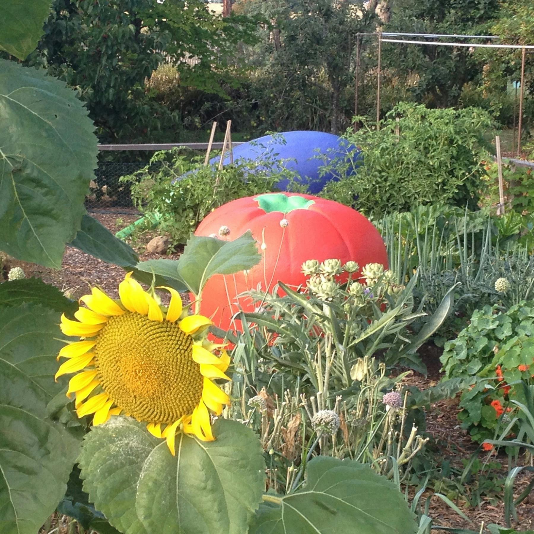 Summer holidays at Maze House