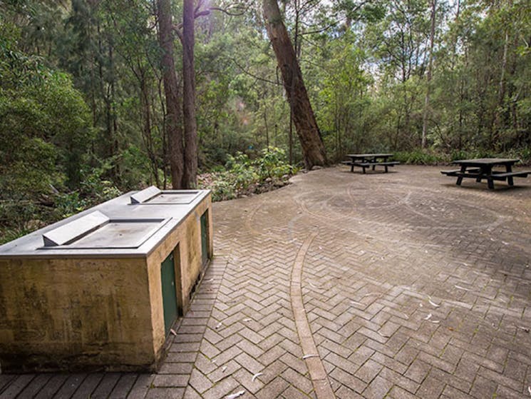 Biamanga Cultural Area (Mumbulla Creek Falls and Picnic Area)