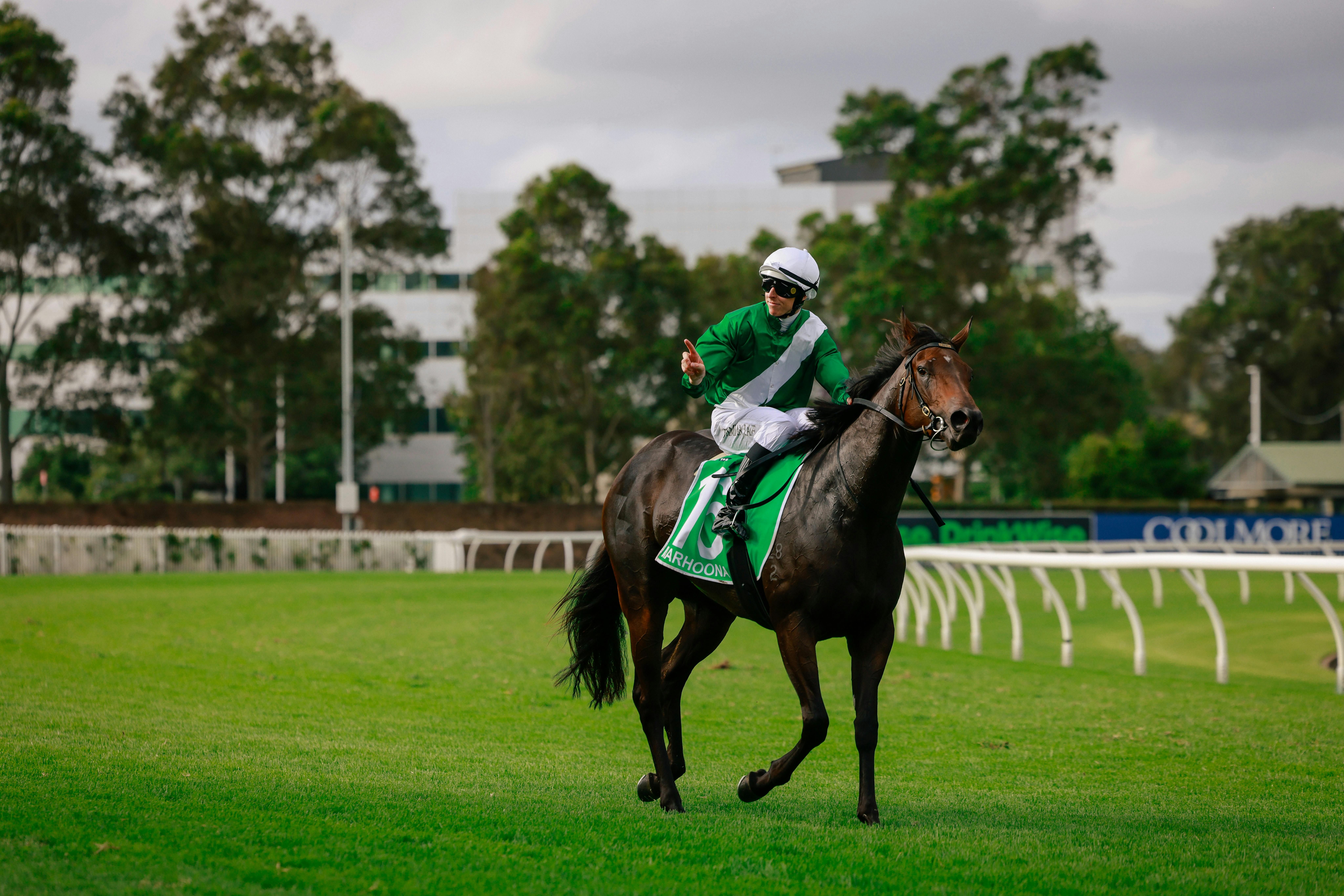 TAB Goldener Pantoffel-Tag