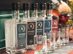 Anther Gin tasting flight includes five gins, tonic, botanicals and garnishes.