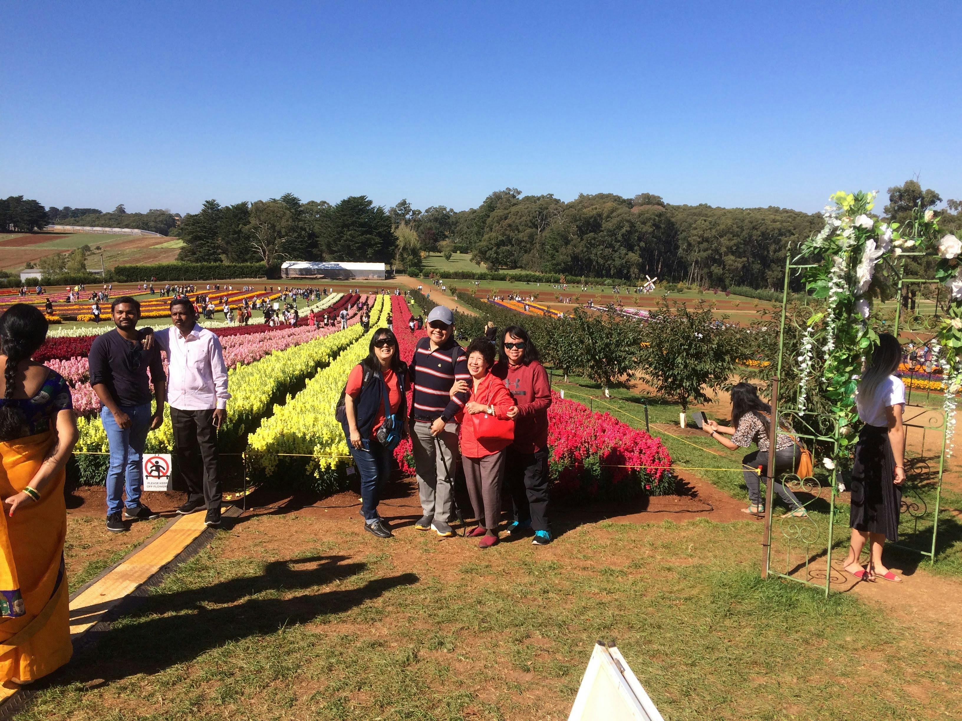 A family tour group enjoying a visit to a very colourful flower farm in season