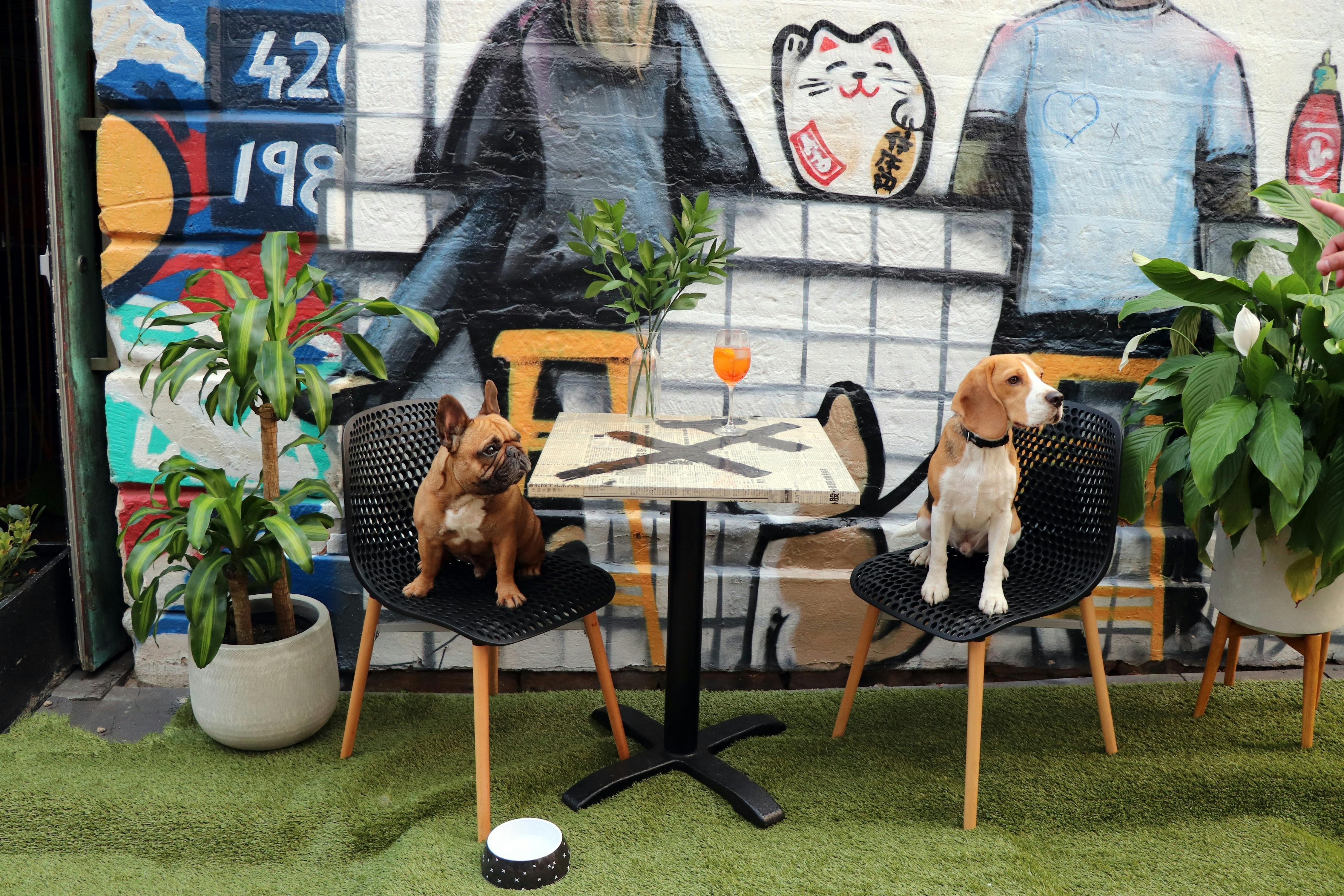 혼카스 바 + 먹거리