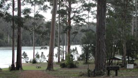 Big Brook Arboretum