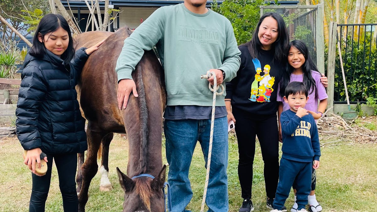 Brumbies Hollow family equine experience. immersive interaction with horses