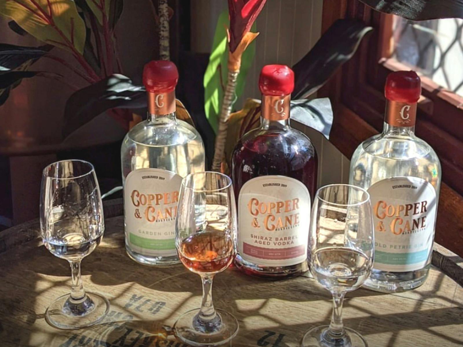 gin tour brisbane