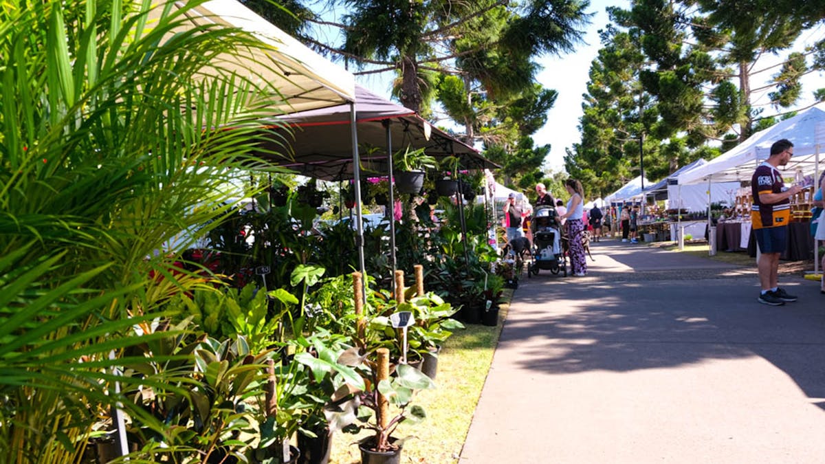 SpringfieldMarkets