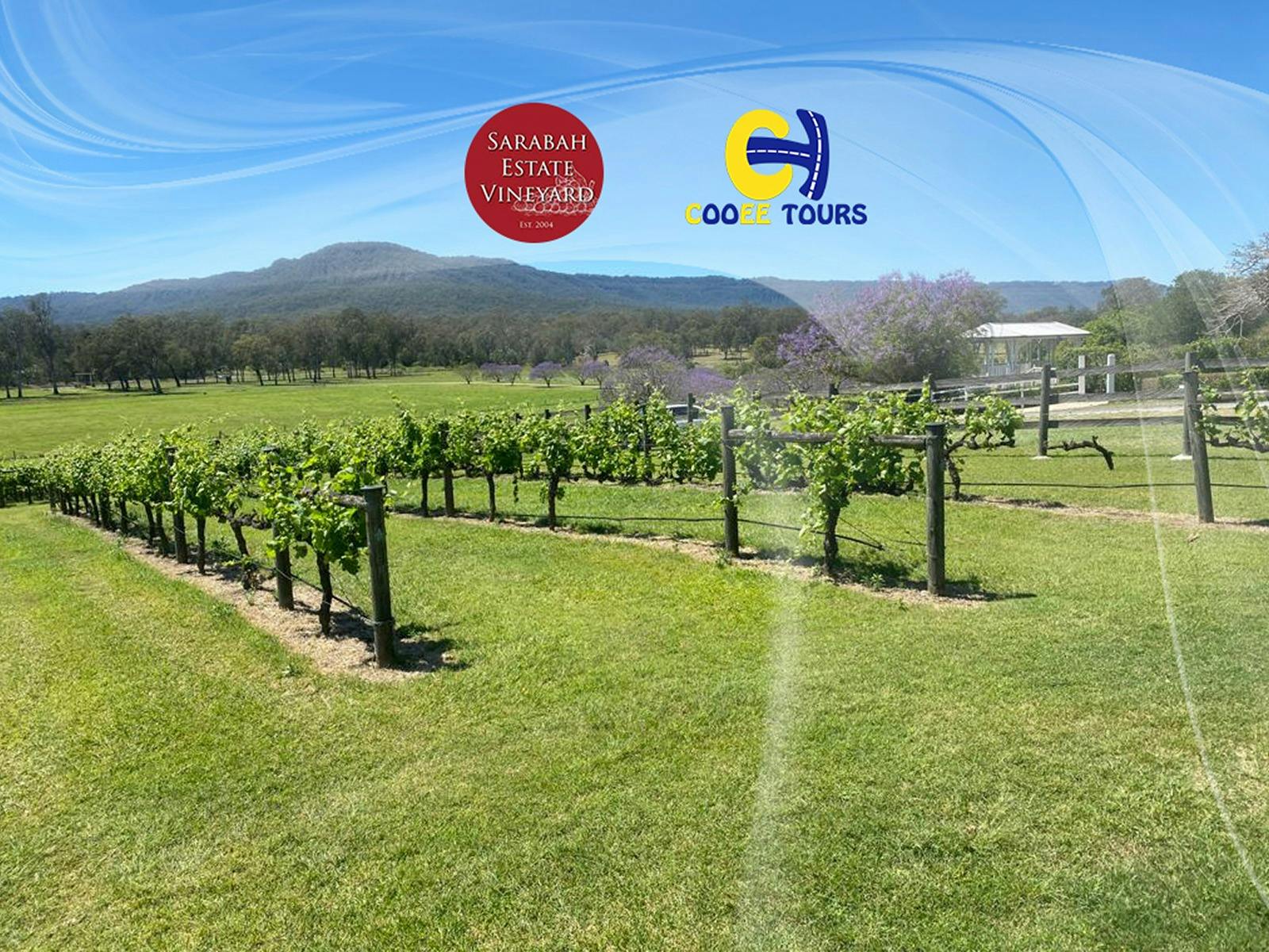 Beautiful Scenery at Sarabah Winery Mt Tamborine