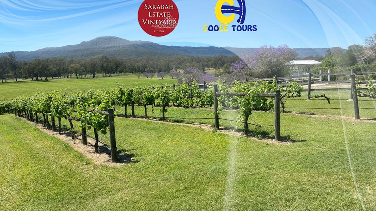 Enjoy lunch and wine tasing against a wonderous backdrop of vineyards