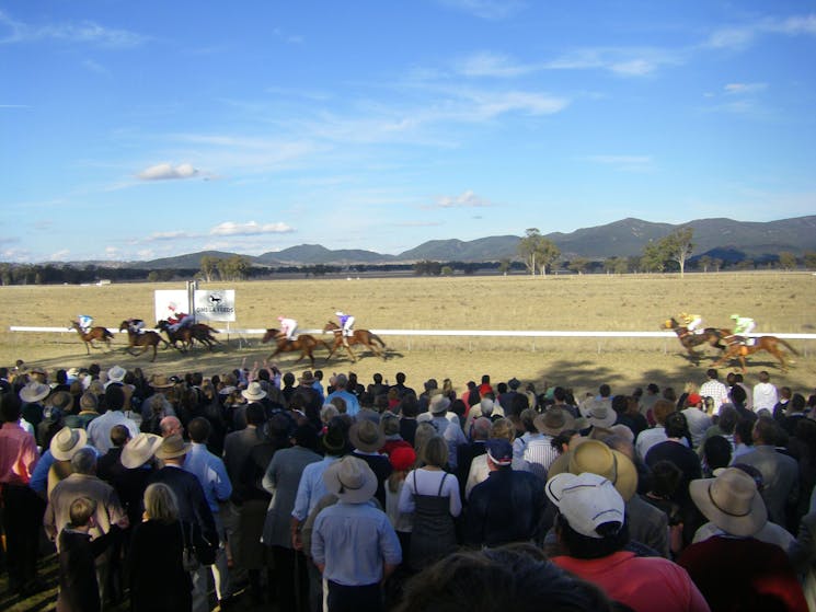 Wean Picnic Races