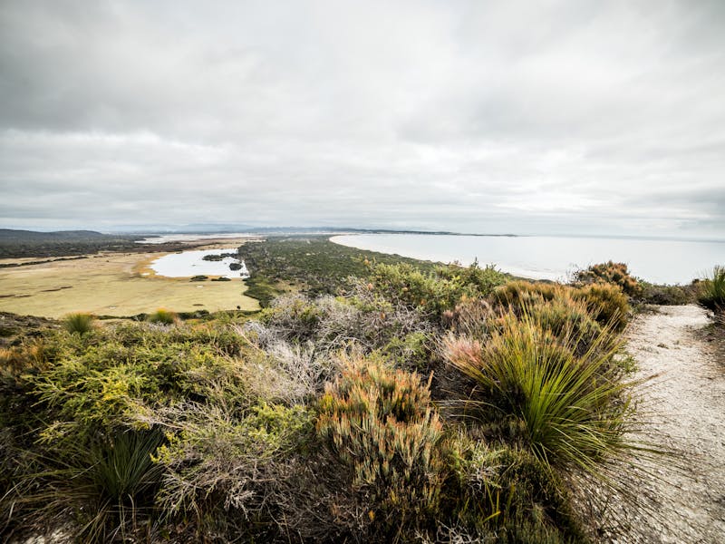 View from Archers Knob Track