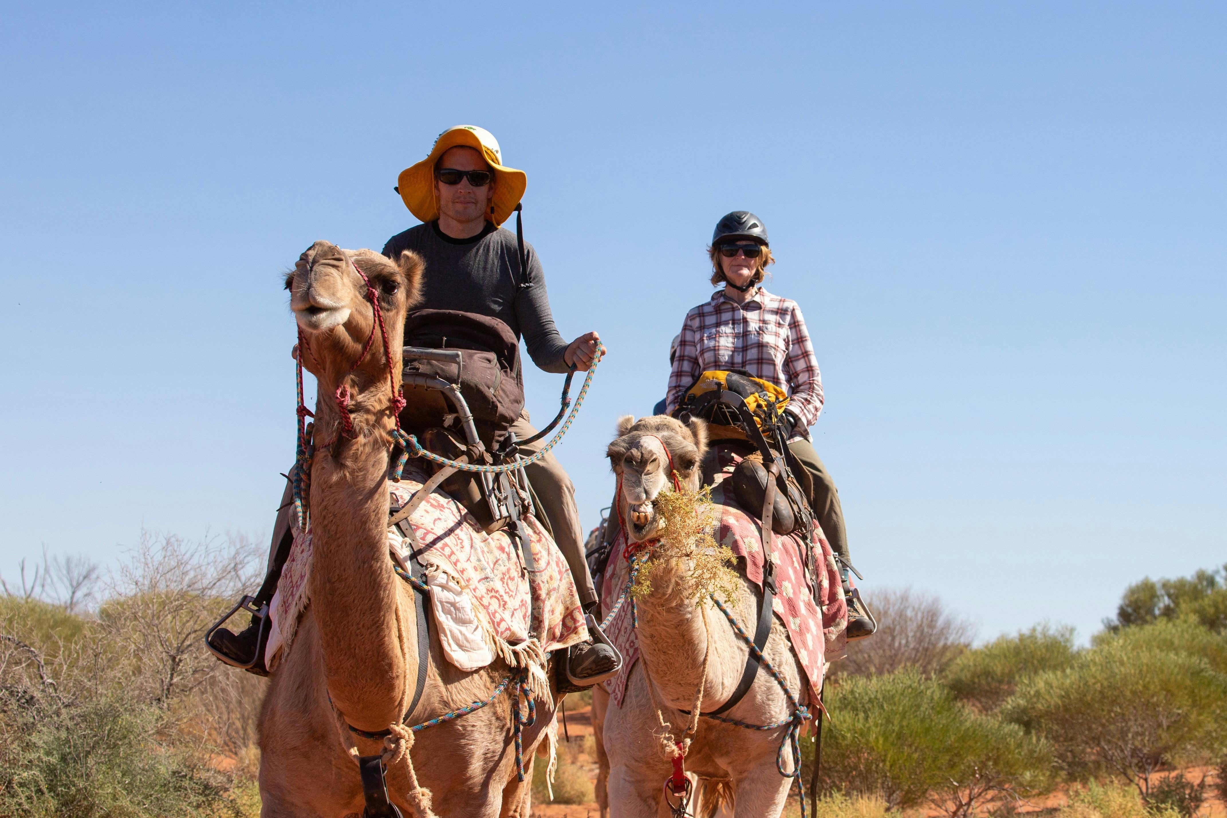 Camel Treks Australia Outback Safaris