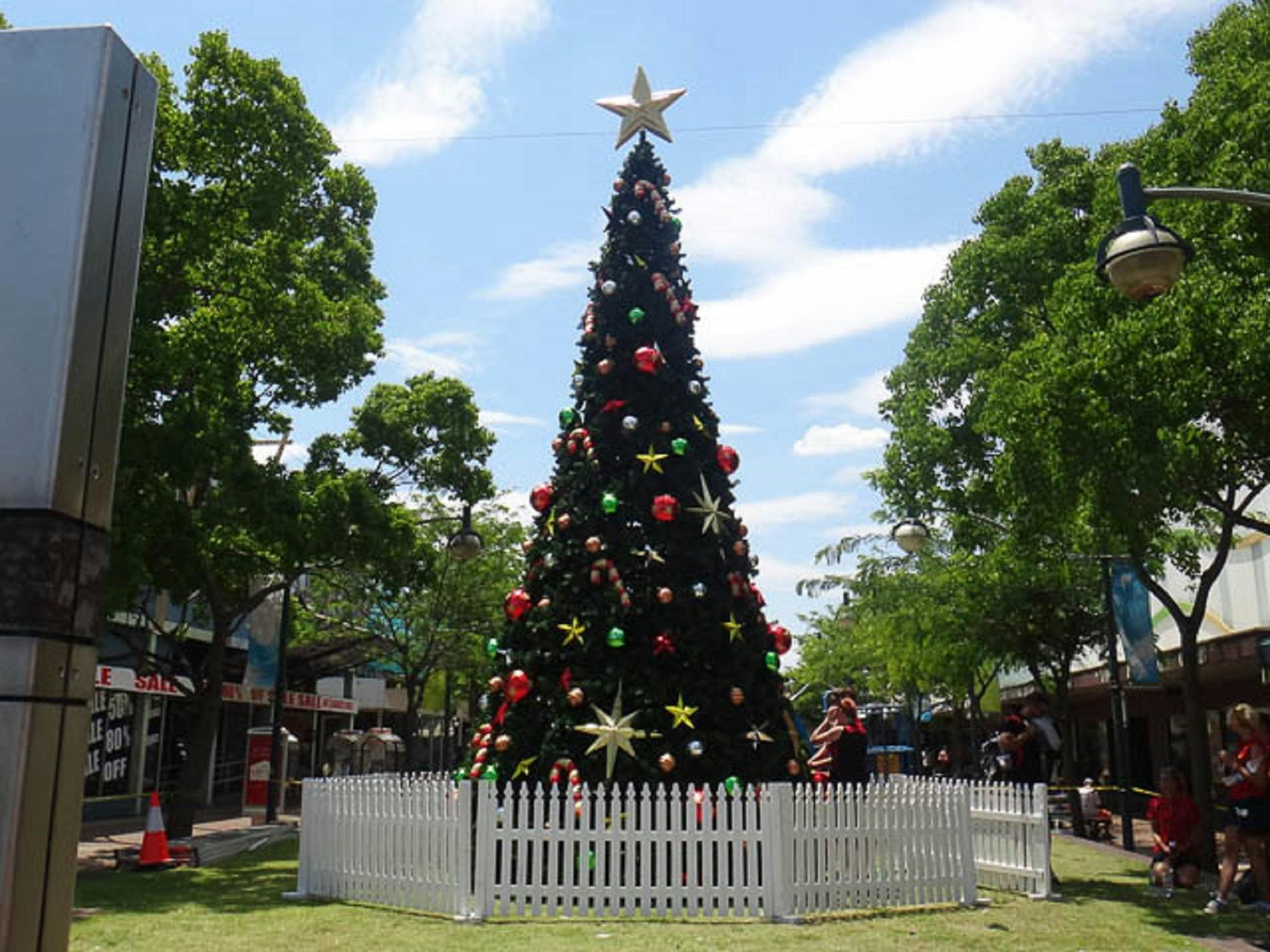 Coraki Christmas Tree Light Up