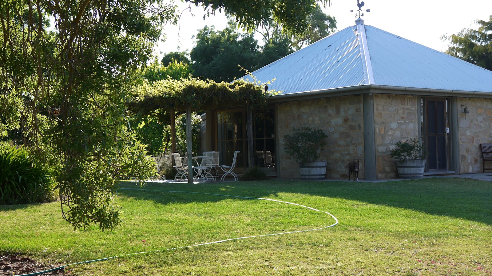 Malcolm Creek Vineyard