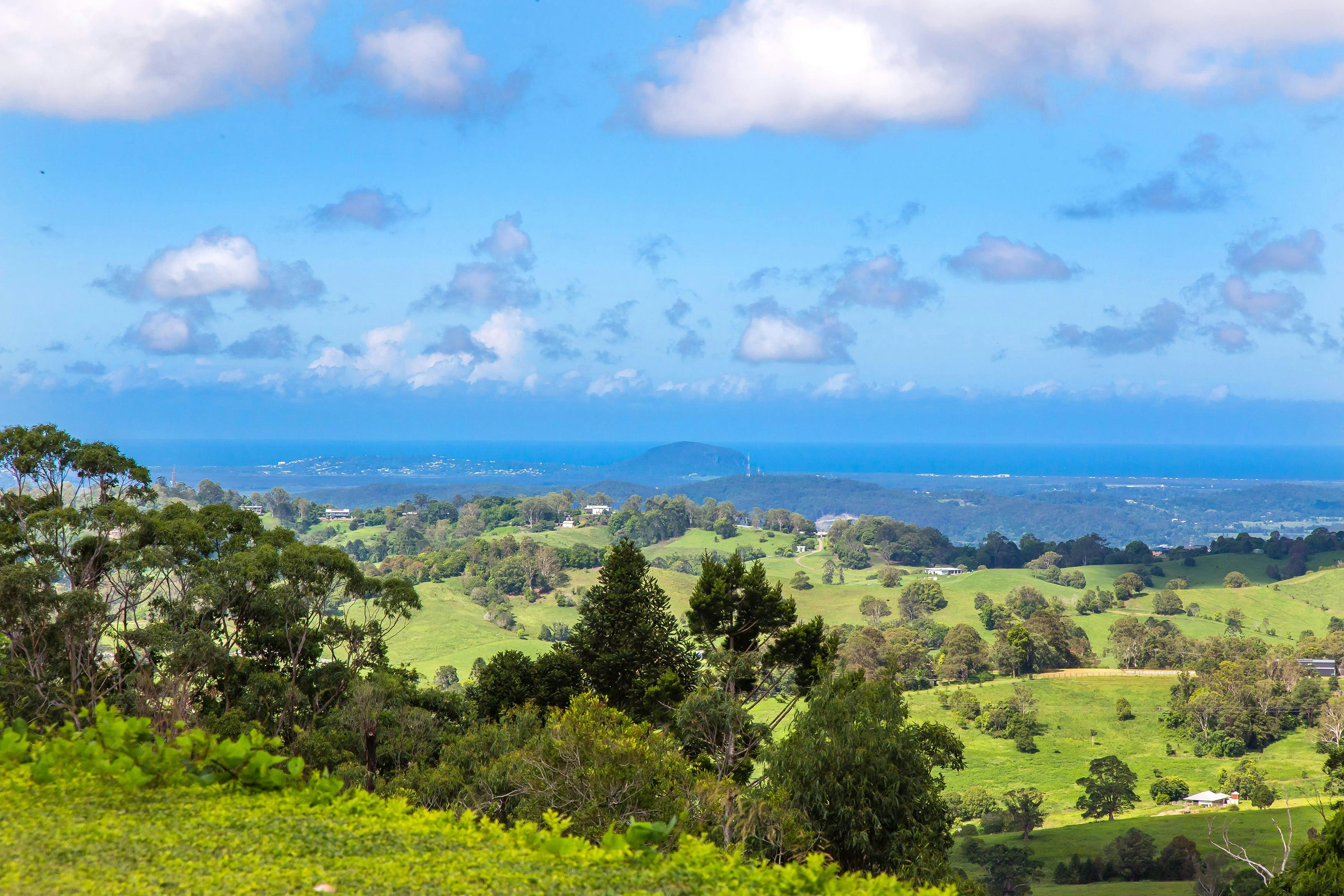 Flaxton Gardens View