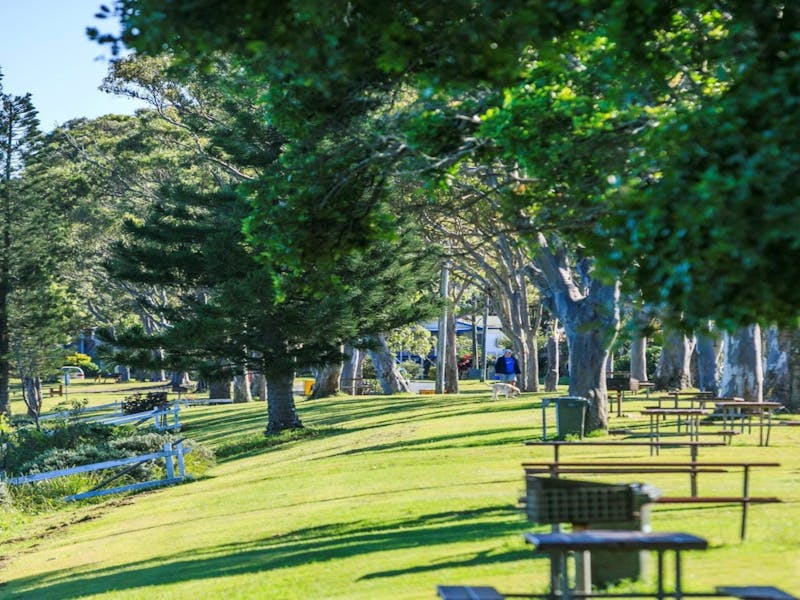 Dog Friendly Caravan Parks Coffs Harbour Area Dog Friendly Caravan Parks Coffs Harbour Area