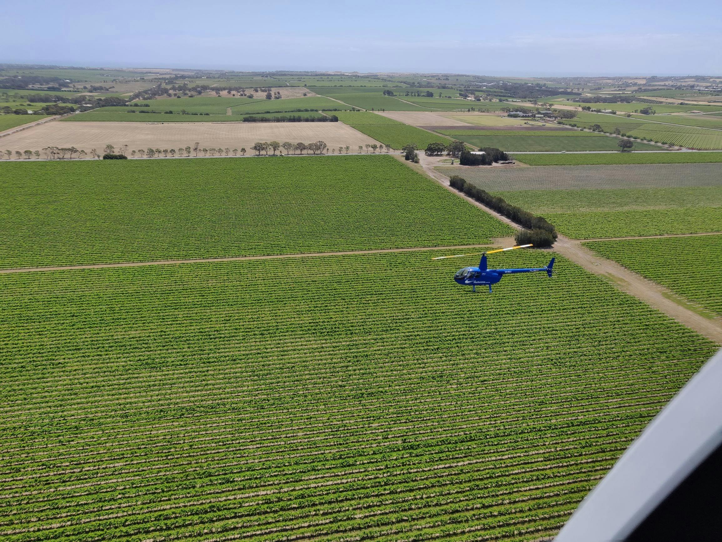 Flying over the McLaren Vale