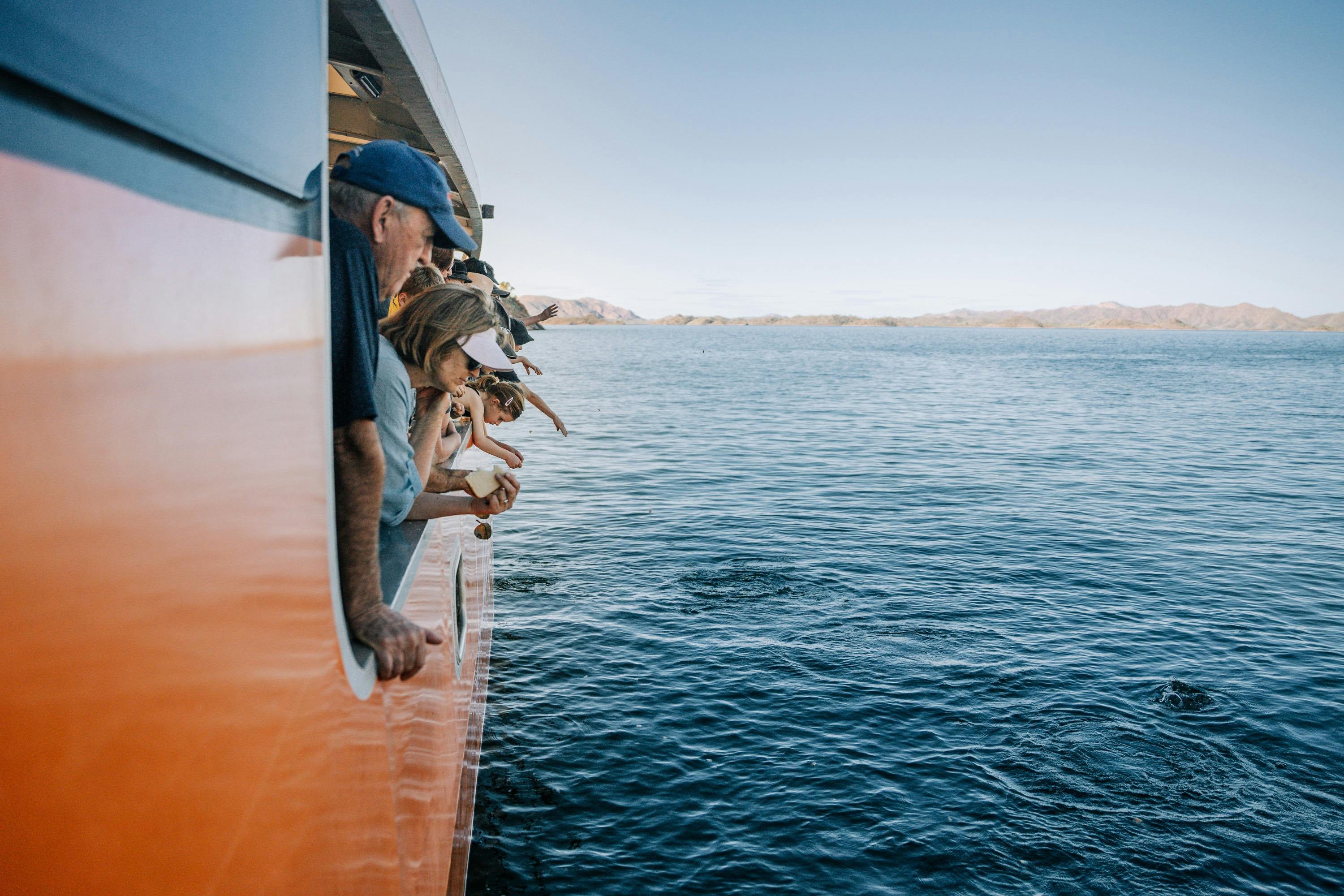 Feeding fishes from the boat