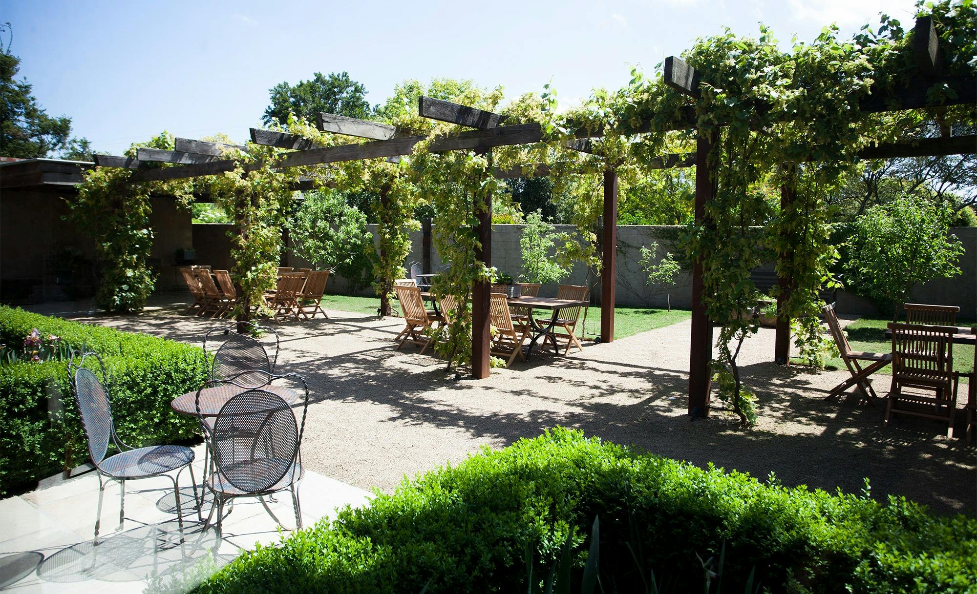 Alfresco area with dining tables under the vines in Spring