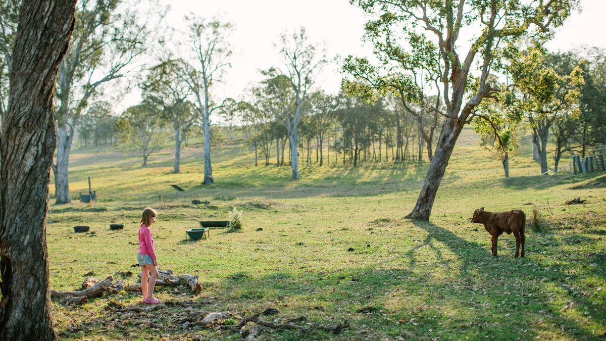 Girl looking at calf at Kimbala Country Escape