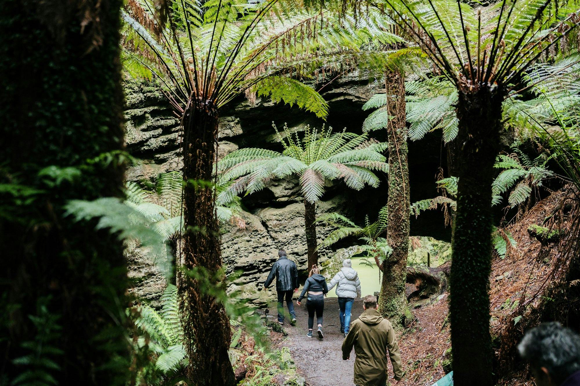 Group approaching Trowutta Arch framed by huge man ferns
