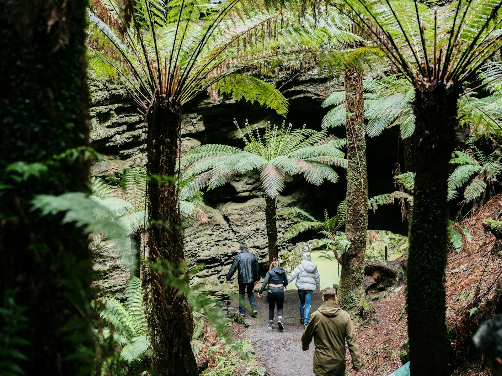 Group approaching Trowutta Arch framed by huge man ferns