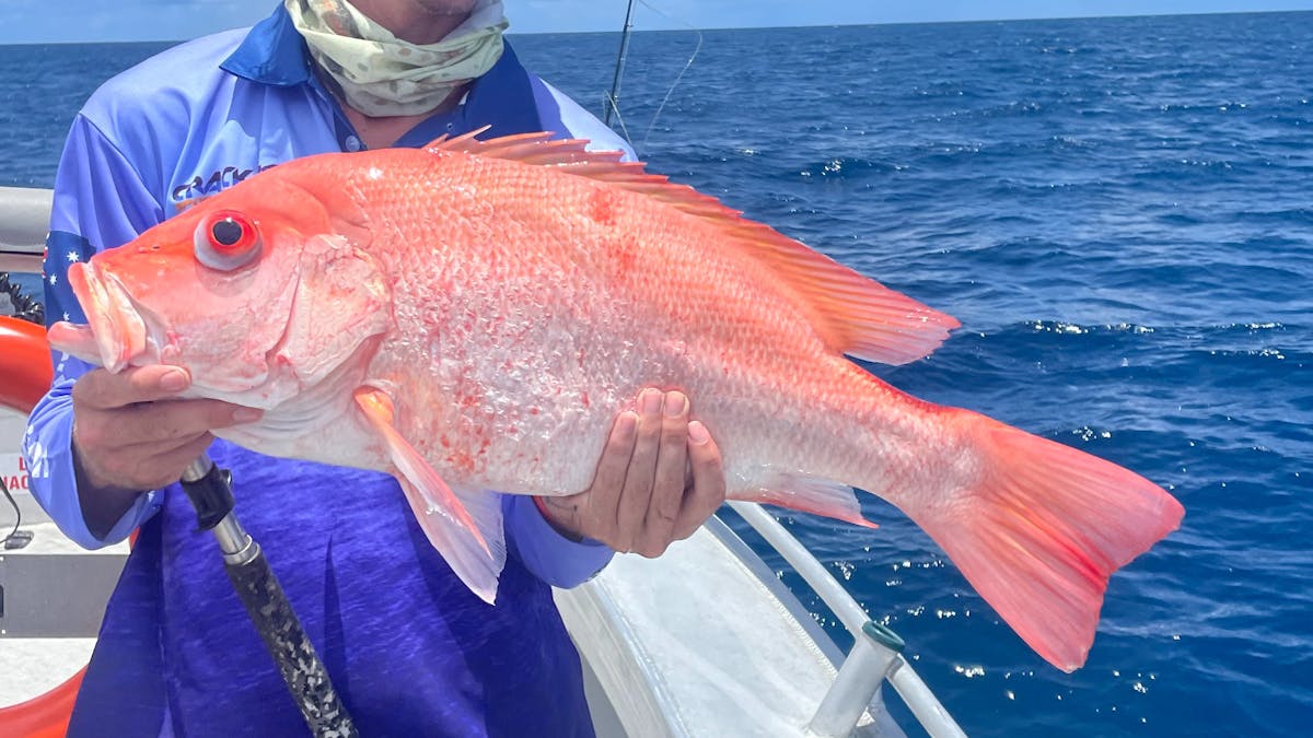 Great Catch!