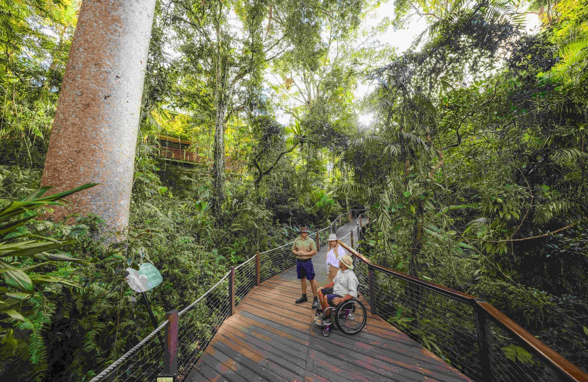 Skyrail Ranger with female standing and male in wheelchair on rainforest board walk looking at tree