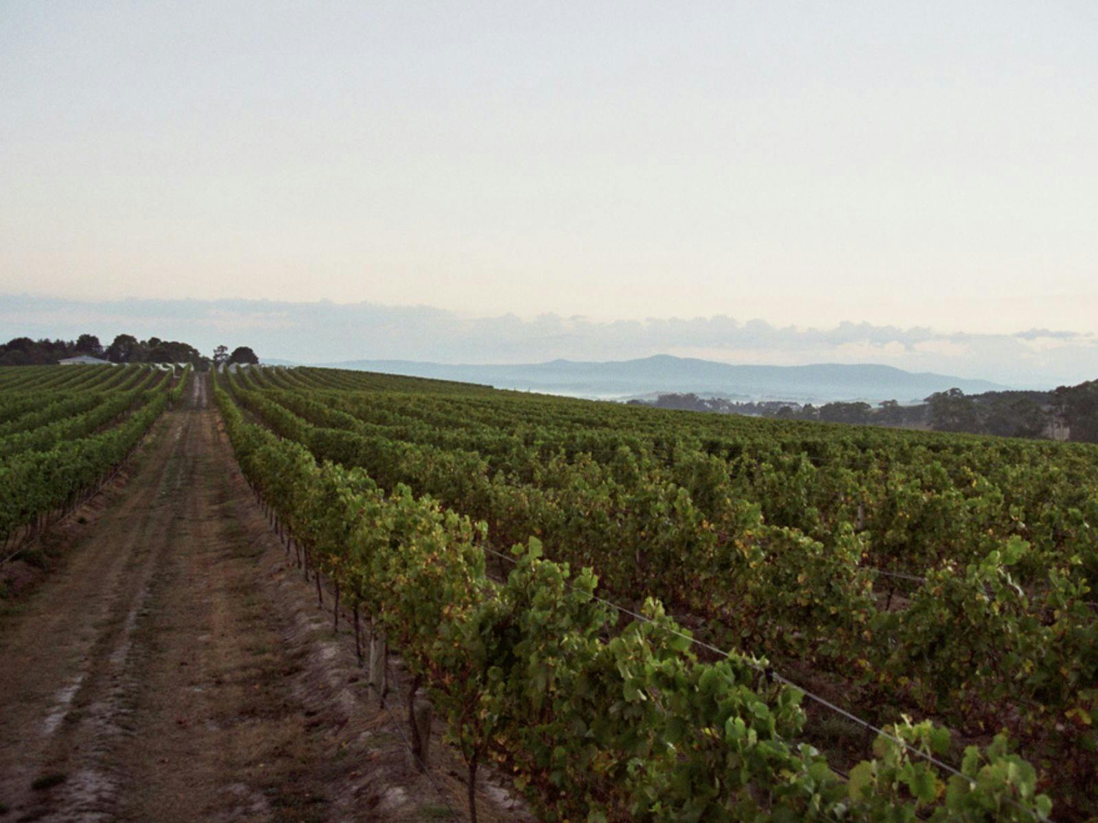 An Evening with Helen's Hill Wine