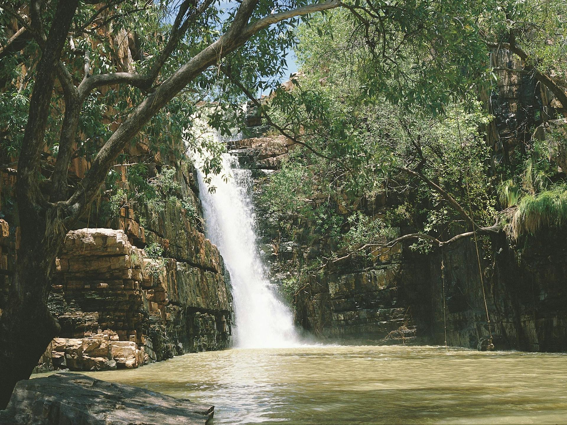 View of Prospecting Roblox Overgrown Grotto NEW MAP UPDATE
