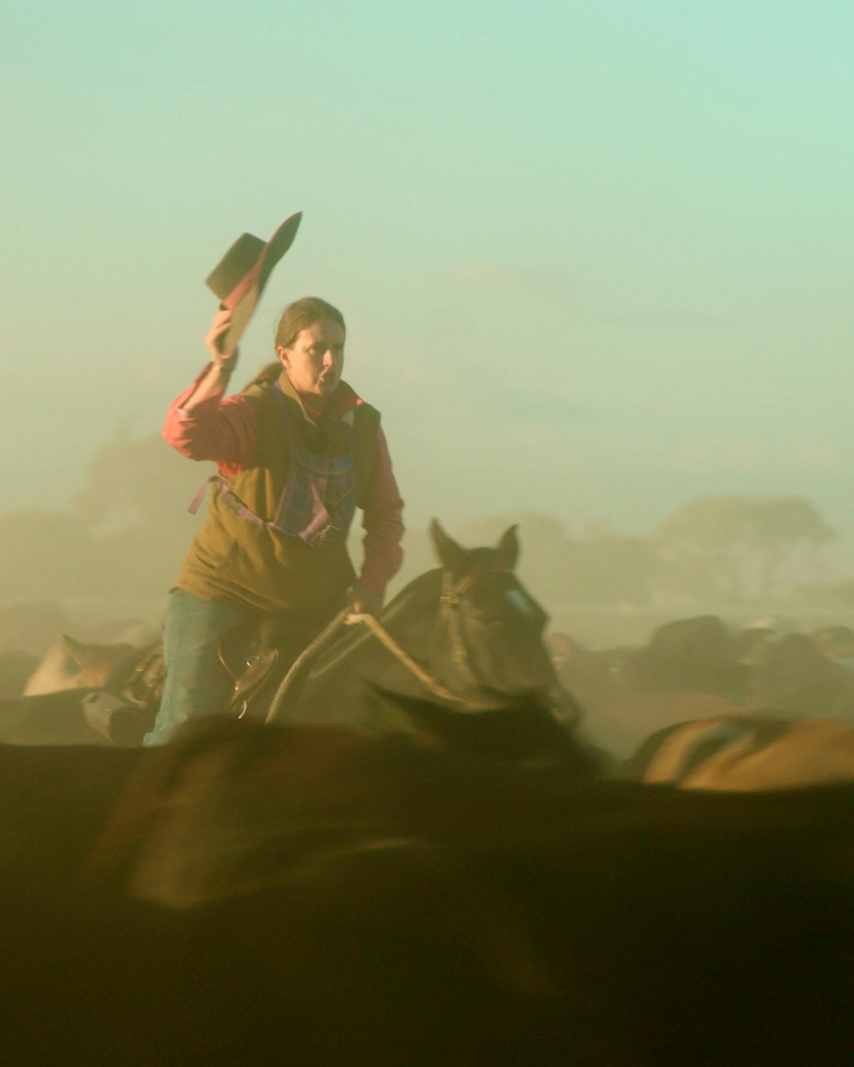 Outback Queensland Cattle Drive