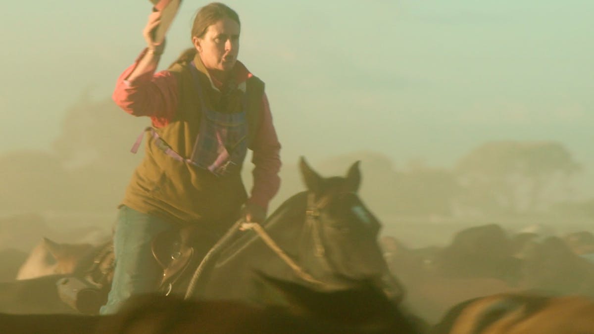 Outback Queensland Cattle Drive