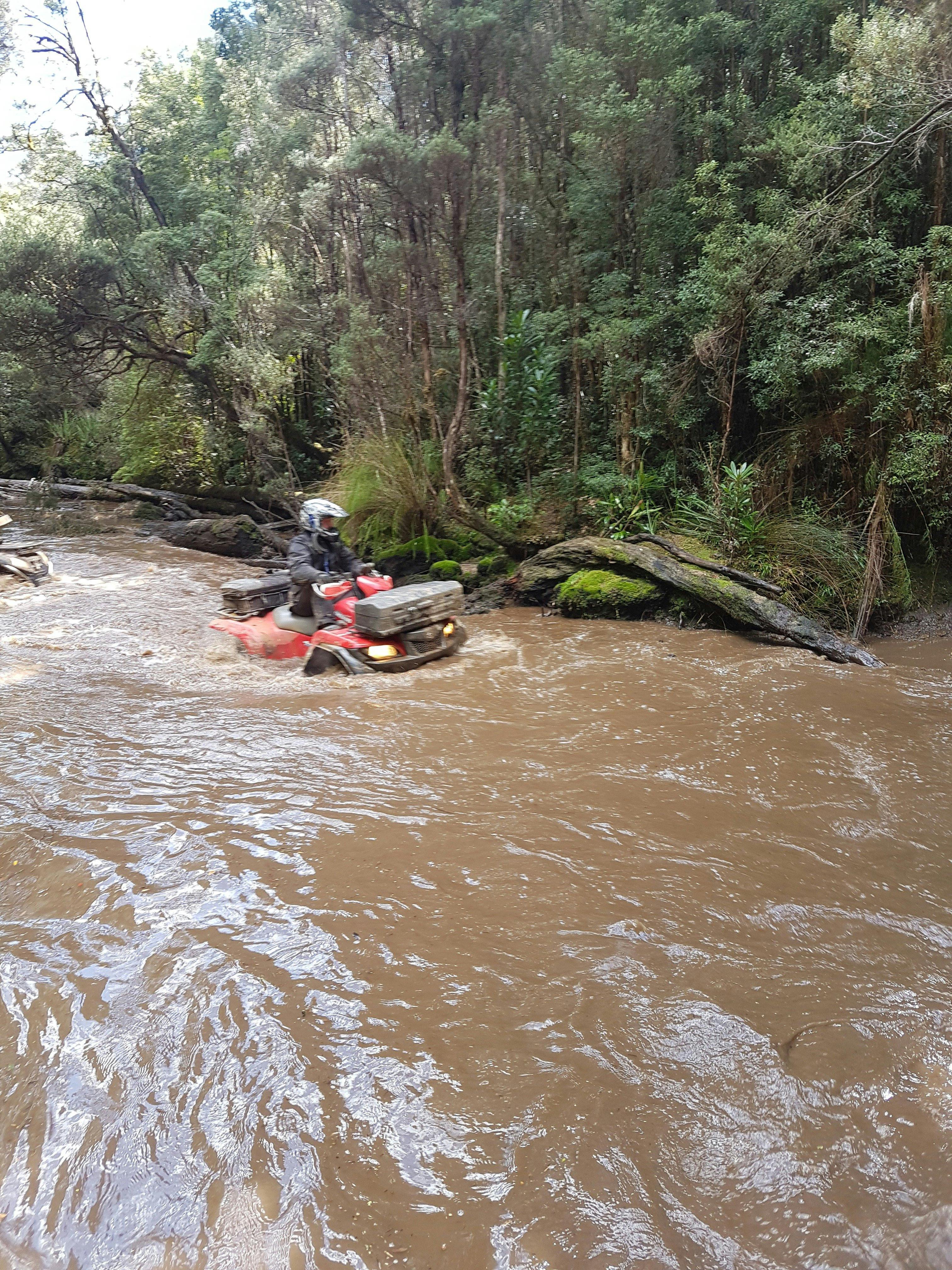 Tarkine Quad and Side by Side Adventures