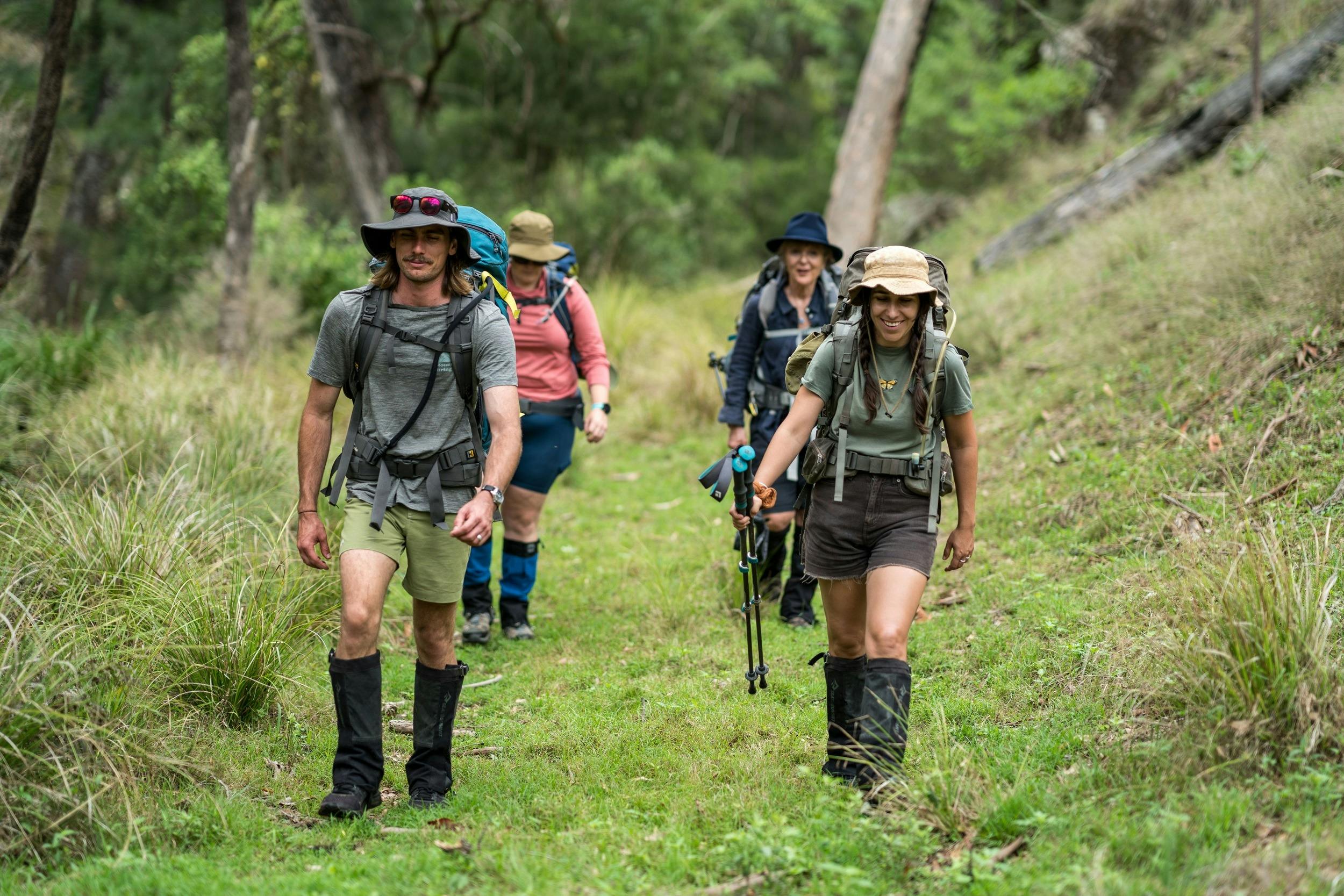 그린 굴리 트랙의 숲 지대를 걷는 하이커 그룹.