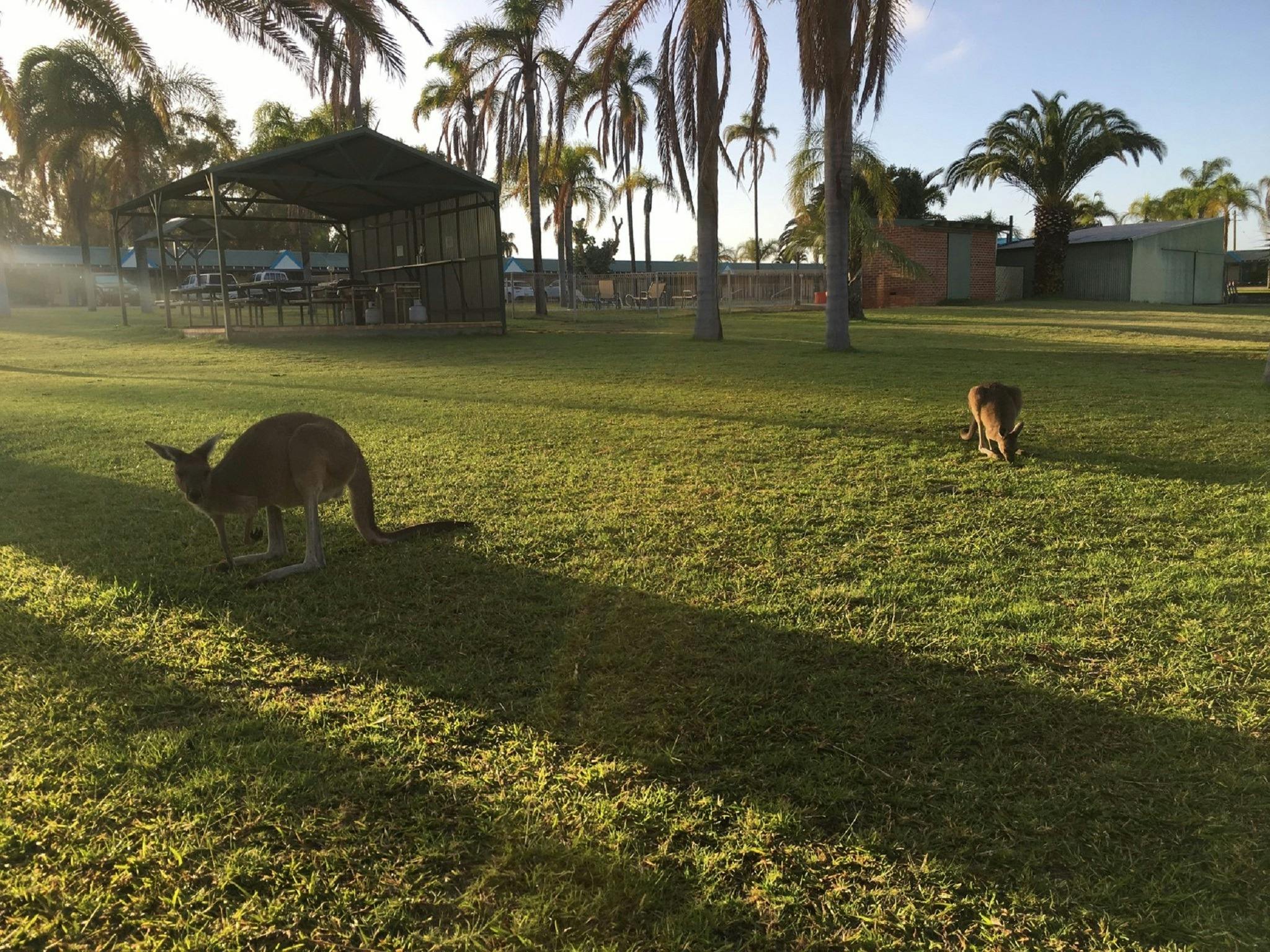 2 Day Kalbarri Pink Lake Tour